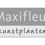 Maxifleur