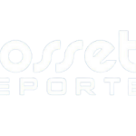 logo rossetti transparente